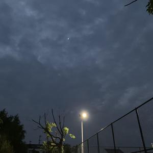 少女大白好子照片
